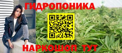 винт Новозыбков